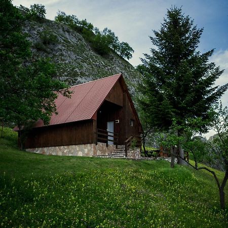 Detached House Milivoje 호텔 Poscenje 외부 사진