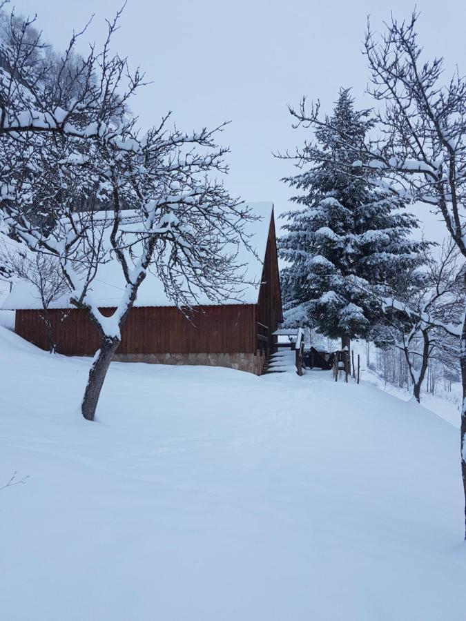 Detached House Milivoje 호텔 Poscenje 외부 사진