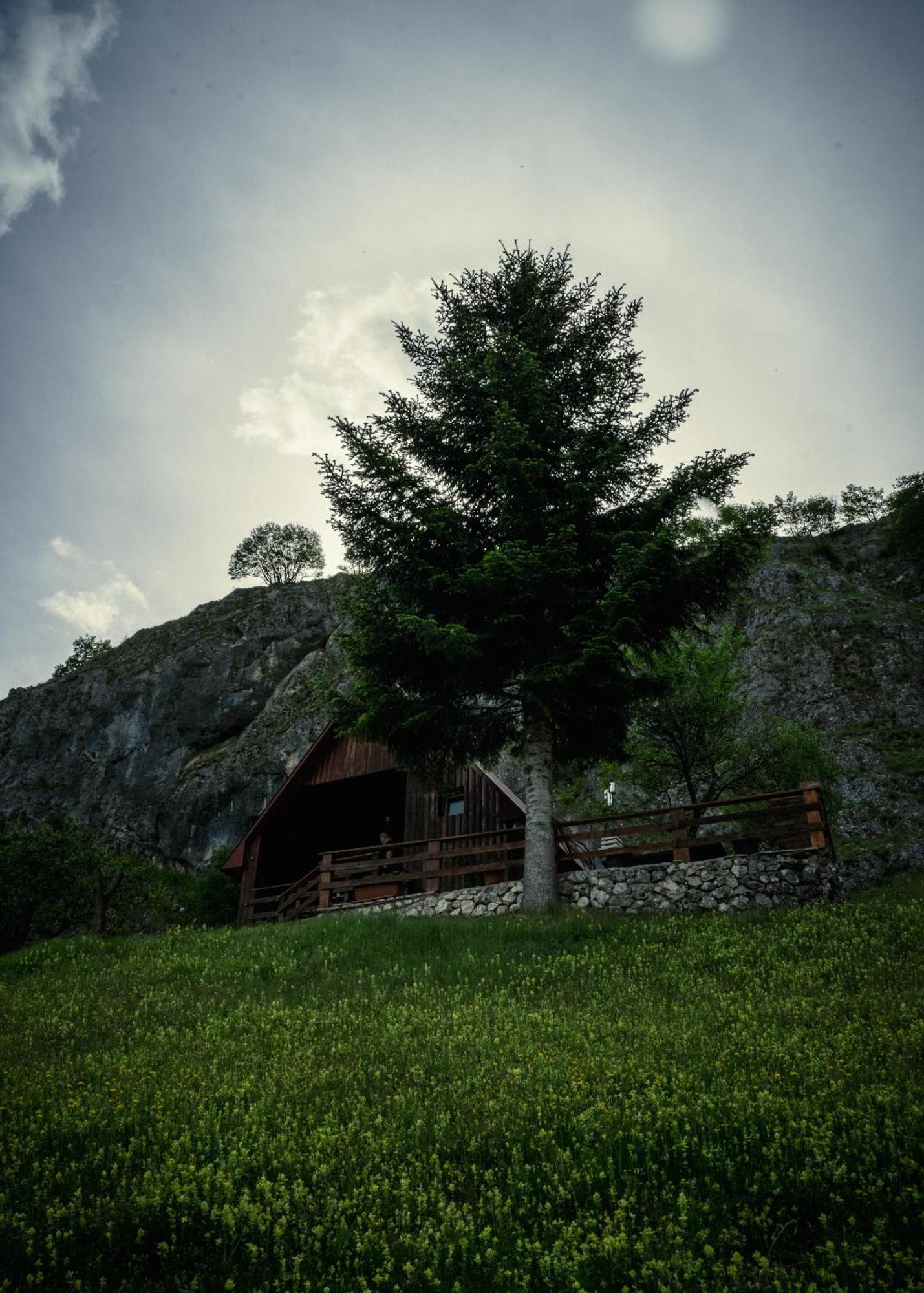 Detached House Milivoje 호텔 Poscenje 외부 사진