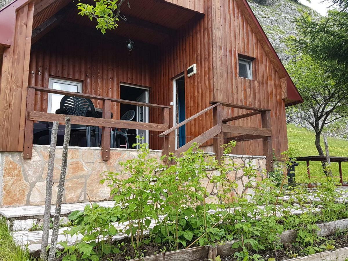 Detached House Milivoje 호텔 Poscenje 외부 사진