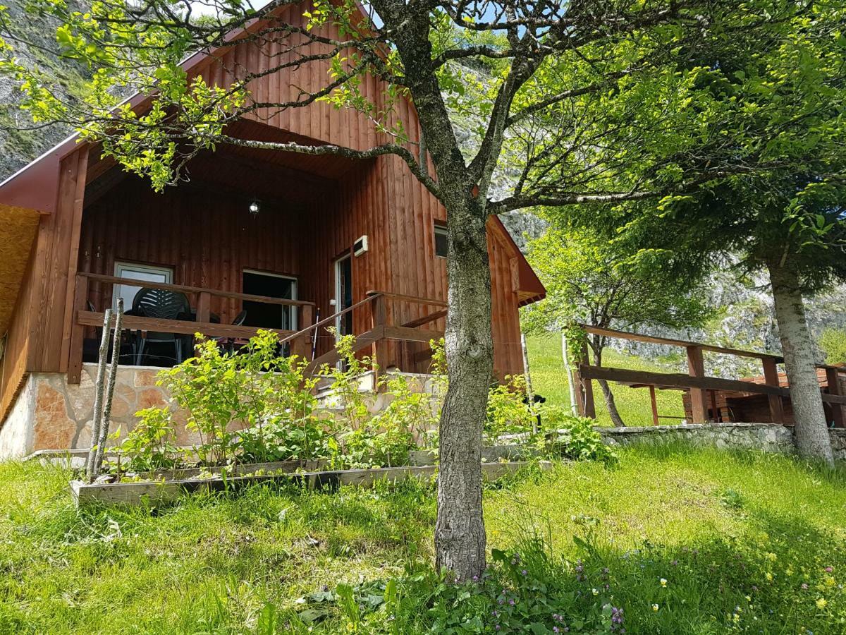 Detached House Milivoje 호텔 Poscenje 외부 사진